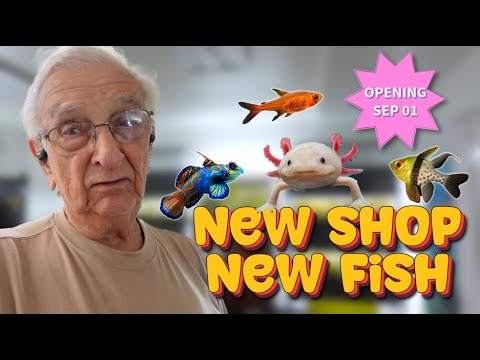 Father Fish Aquarium Shop Tour (Father Fish video)