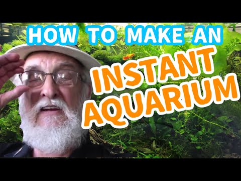 How to Setup A Natural Aquarium | Low Maintenance Quick and Easy (Father Fish video)