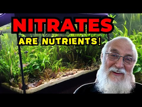 Nitrates and Water Hardness - Two Problems that DO NOT EXIST (Father Fish video)