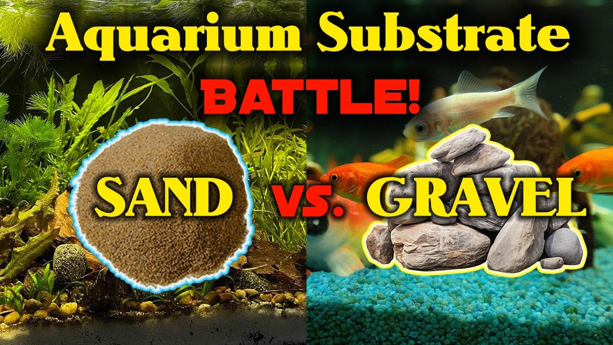 SAND or GRAVEL? Testing Freshwater Aquarium Substrates (Father Fish video)