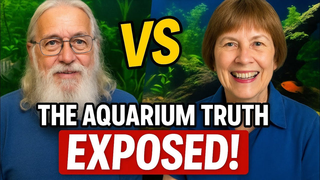 The Solution to the Walstad System (Father Fish video)