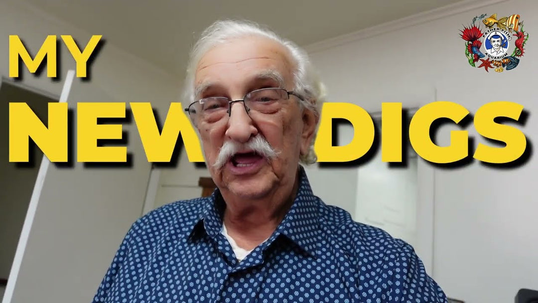 My New Warehouse Tour (Father Fish video)