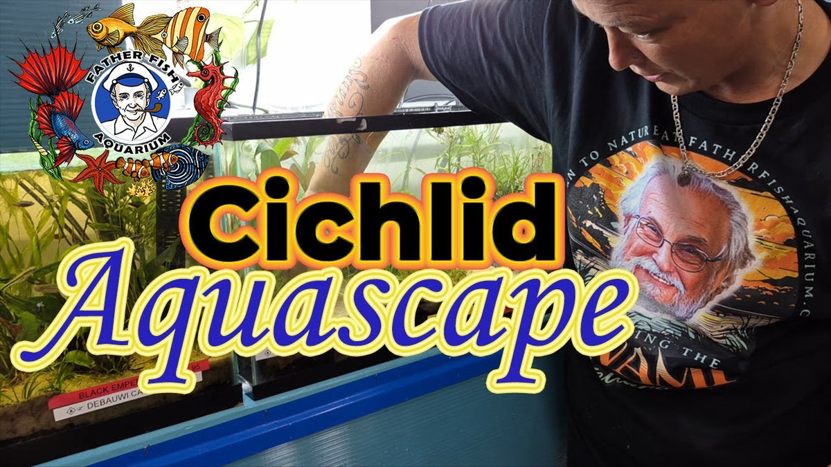 Amazing Aquascape for Keyhole Cichlids at Father Fish Aquarium (Father Fish video)