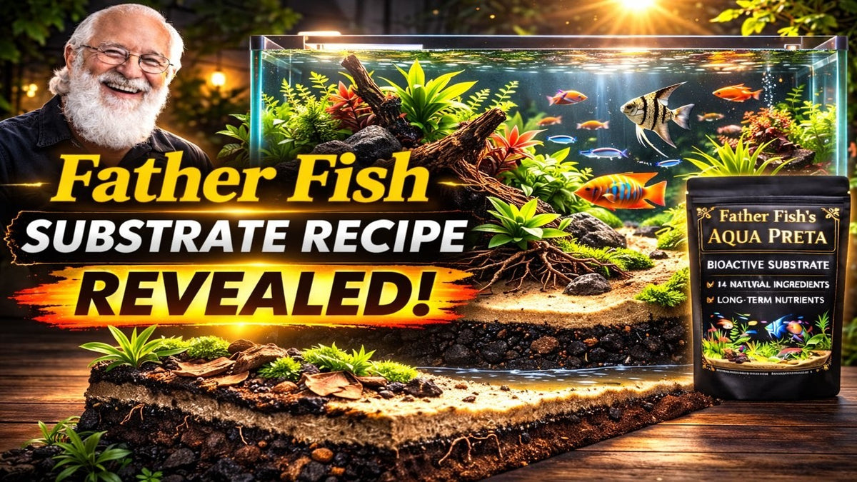 Father Fish Substrate Recipe Revealed! (Father Fish video)