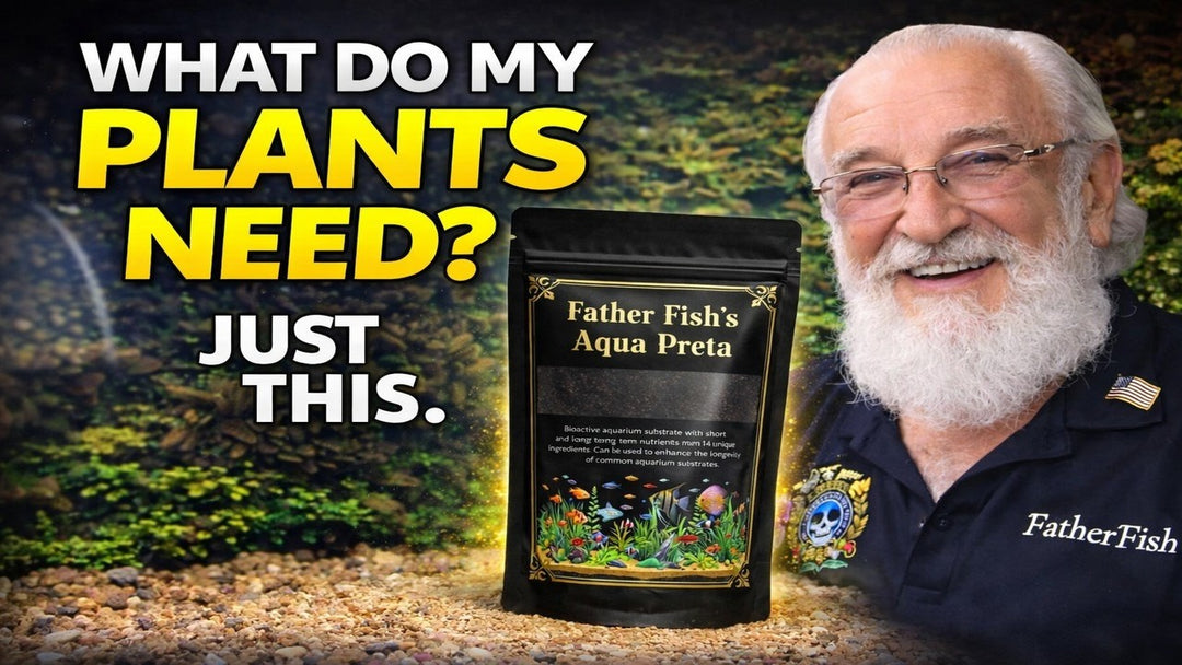 What My Plants Need Most (Father Fish video)