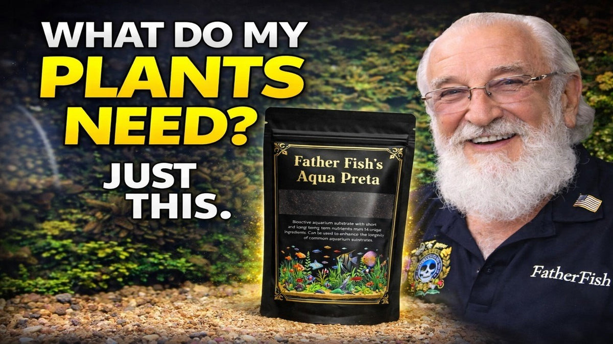 What My Plants Need Most (Father Fish video)