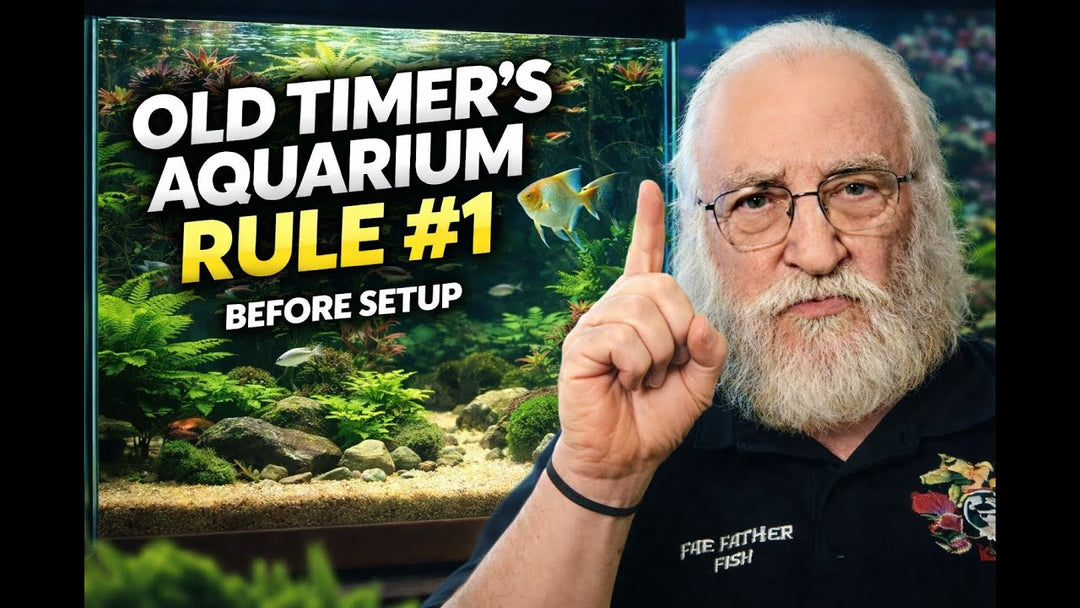 Aquarium Setup - Use Nature, Not Science as Your Guide (Father Fish video)