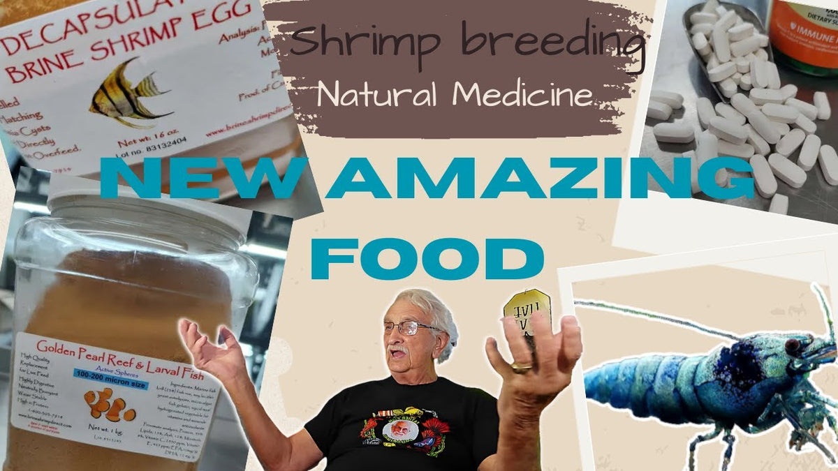 Breeding Shrimp, Natural Medicine, New Amazing Food, and More (Father Fish video)