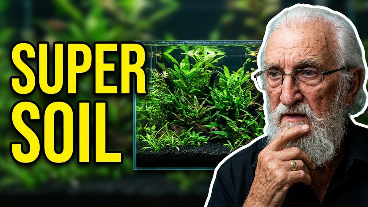 The Science of Aqua Preta Substrate (Father Fish video)