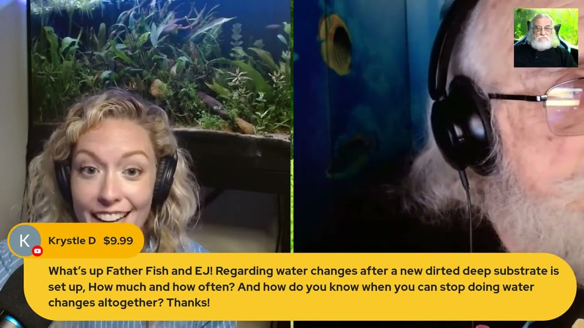 When Should You Do Water Changes (Father Fish video)