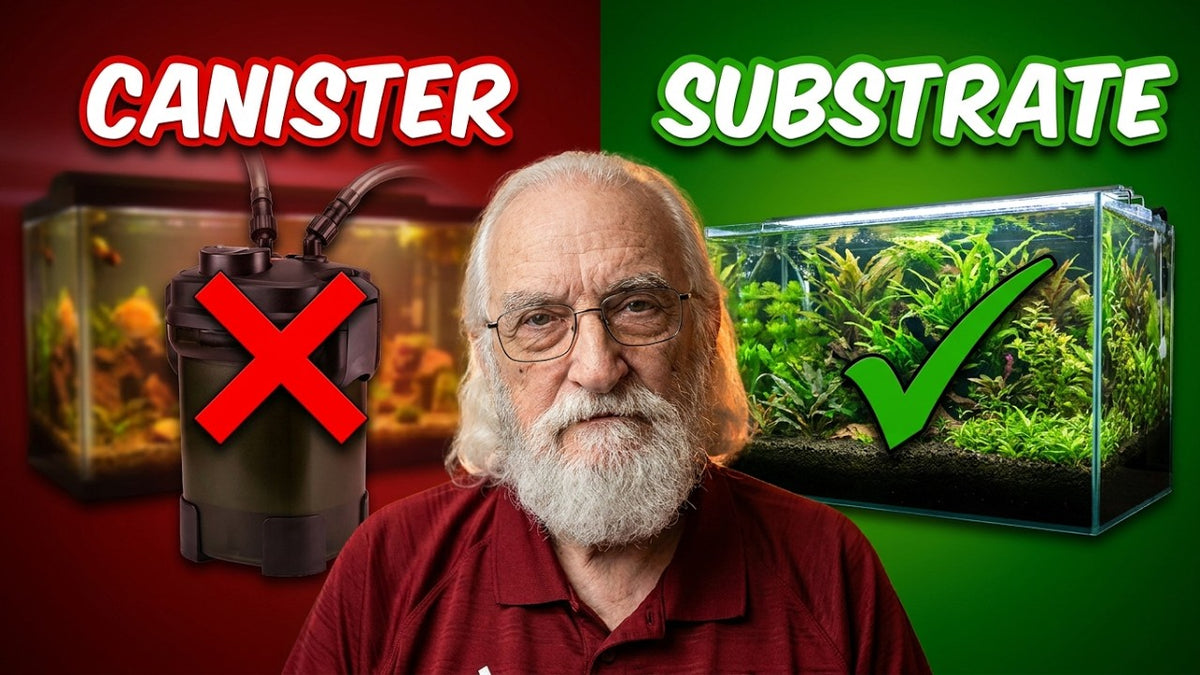 More Reasons To Hate Canister Filters (Father Fish video)
