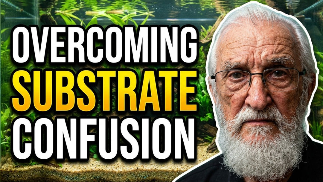 Your Substrate is Alive (Father Fish video)