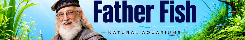 Father Fish Aquarium