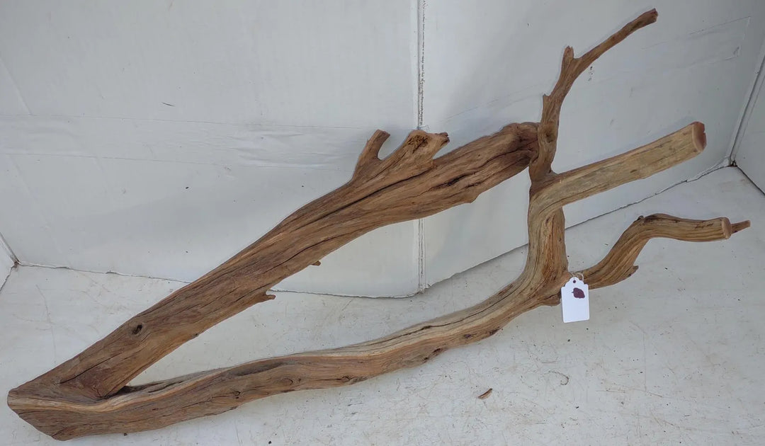 small driftwood