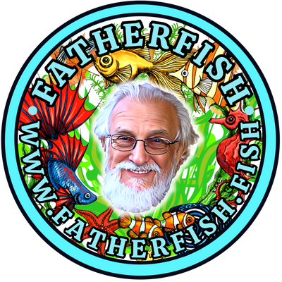 Father Fish Aquarium